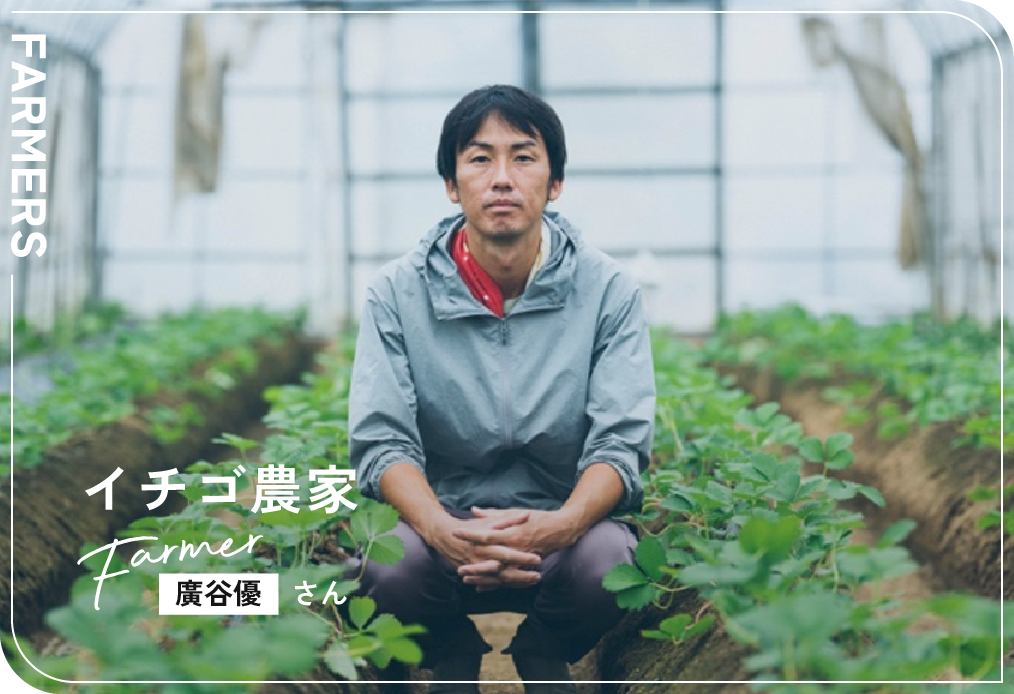 イチゴ農家 / 廣谷優さん