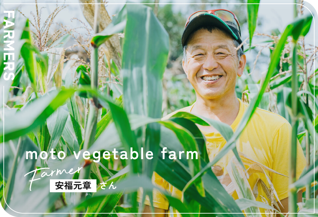 moto vegetable farm / 安福元章さん